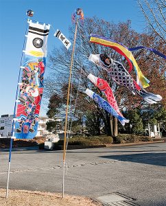 武者幟・鯉のぼりセット 庭園用 杭打式